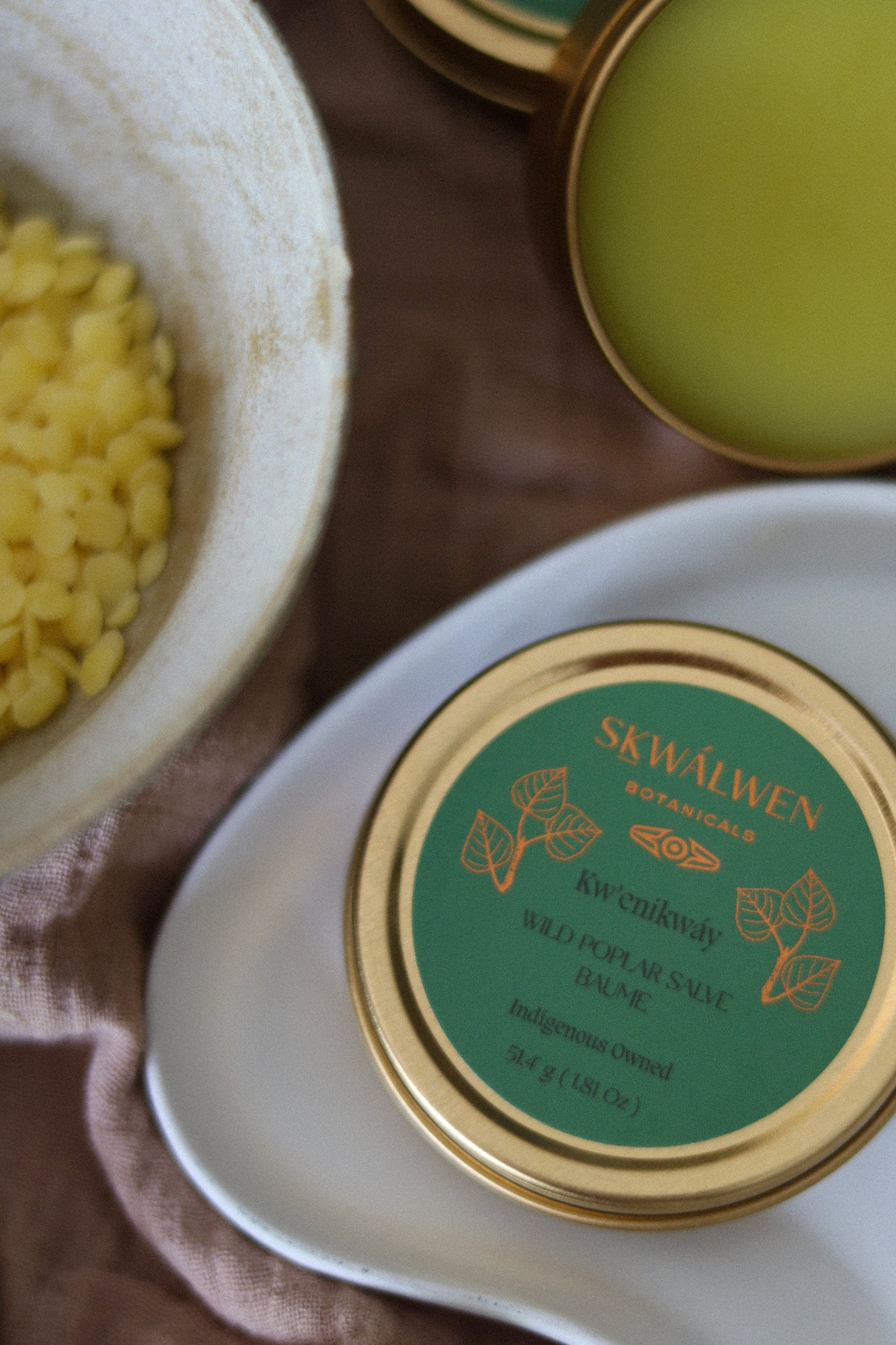 Kwenikwáy Wild Poplar Salve