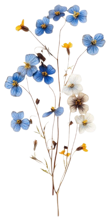 Decorative flower image beside brand submission form